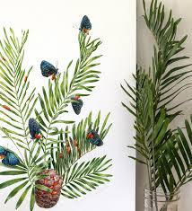 Image result for Ottelia kunenensis