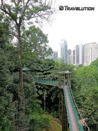 It contains the only virgin tropical rain forest left in the heart of kuala lumpur. Pin On Malaysia