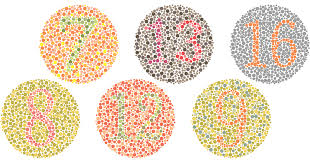 color blind tests do you see colors as they really are