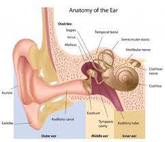 My Hopi Ear Candling Experience Heaven Scent Bliss