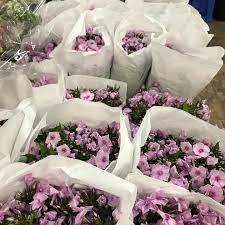 Find lots, acreage, rural lots, and more on zillow. Danisa S Wholesale Fresh Flowers Inc Home Facebook