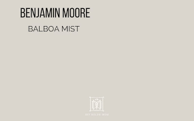 Every gray paint color out there has different undertones and each gray color has its own personality. Benjamin Moore Balboa Mist Reviews In Real Homes