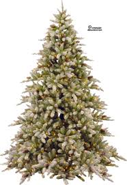 Christmas tree drawing christmas and holiday season christmas ornament, christmas tree design, painted, decor png. Download Christmas Tree Free Png Transparent Image And Clipart