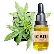Cannabidiol (cbd) is a phytocannabinoid discovered in 1940. Supercritical Co2 Hemp Extractor For Cbd Oil Production Buy Cbd Ol Extraktion Maschine Co2 Uberkritische Extraktion Maschine Hanf Ol Extraktion Maschine Product On Alibaba Com