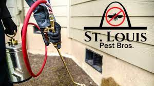 Cbs pest control ei tegutse valdkondades exterminators ja kahjuritõrje. Home St Louis Pest Bros Pest Control Service In St Louis Mo