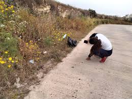 Check spelling or type a new query. News Young Reporters For The Environment