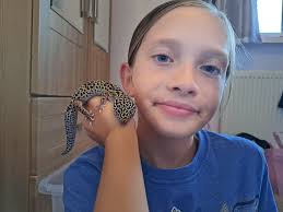 Here's Gavin and Brick again. I mean 🤷🏻‍♀️ I have no words….did you know  geckos could jump like this? I. Did. Not. Would you let Brick jump onto  your shoulder? I. Would.