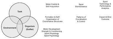 Understanding newell's model of constraints. An Adapted And Extended Version Of Newell S 2 Model Of Constraints As Download Scientific Diagram