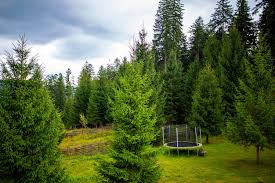 Gura humorului a intrat in cercul exclusivist al localitatilor care beneficiaza de telescaun. Revelion 2021 Manastirea Humorului Hotel Floare De Colt Bucovina Pico Mar Travel