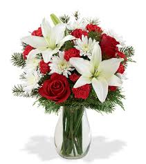 Holiday Greetings Great Blooms Today