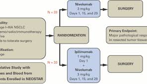 neoadjuvant immunotherapy for non small cell lung cancer