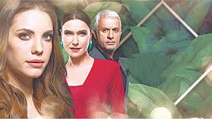 Semaver kumpanya'da 1.5 yıl oyunculuk eğitimi almış ve çocuk oyununda ilk kez rol. The Tube Newspaper Dawn Com