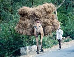 Each player takes turns adding a straw to the basket until the camel's back is broken (when the two humps touch). The Phrase The Last Straw Meaning And Origin
