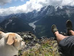 Awakening the Planet with Superfoods and Medicinal Mushrooms