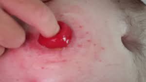 First video - video 4 - ThisVid.com