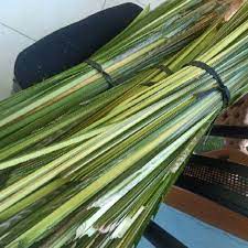 Bagi anda yang teringin nak cuba buat ketupat palas untuk raya tahun ni, resipi perkongsian saudari d'iris 4. Daun Palas Ketupat Borong 30btg Shopee Malaysia
