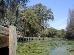 It looks very nice & is not. Koa Orlando Sw Fort Summit Florida Campgrounds Florida Rv Parks