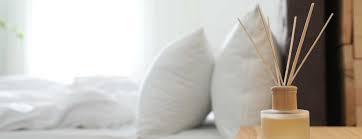 We will send a trained technician to your home and perform and inspection. Can I Prevent Bed Bugs Naturally All Natural Bed Bug Treatment In Tn