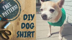 Easy Diy Dog Shirt Free Pattern Download Youtube