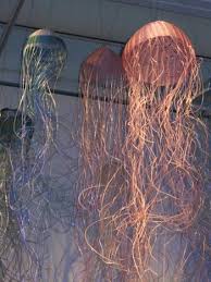 Ghost Net Art Science Centre Brisbane Science Art Art Ocean Projects