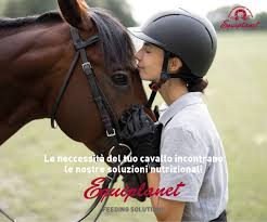 Antoine Ermann: from family stables to global success