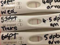 Pregnancy Testing After Pregnyl 1500iui Assisted Conception Babycenter Australia
