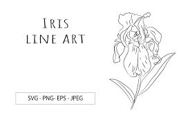 Download Iris Flower Line Art Set Svg And Png File 1083376 Illustrations Design Bundles