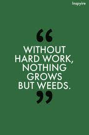 Pin On Inspirational Quotes For Success