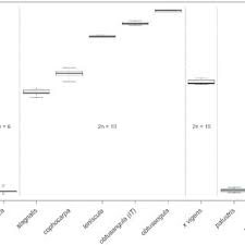 Image result for Callitriche vulcanicola