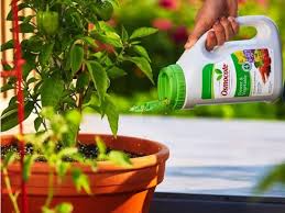 Orchidgain is a premium greenhouse grade, water soluble fertilizer developed by commercial growers and universities to promote healthy stems and vibrant blooms. Best Fertilizers Of 2020