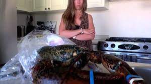 How much meat is in a hard shell lobster? 5 Pound Lobster Youtube