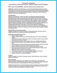 Pin Di Resume Template