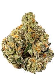 The gelato strain has an average thc content of 25% and moderate cbd. Stracciatella Gelato 7 Strain Hybrid Cannabis Video Cbd Thc Terps Hytiva