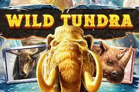 Wild Tundra Slot Review