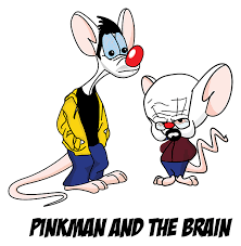 While the moment you met and all the moments that followed might add up to some great stories, let's stroll down me. Pinky And The Brain Breaking Bad Shirt Clothing T Shirts Valresa Com