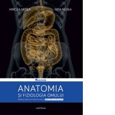 De la celula la sistem de organe, raporturi și planuri. Anatomia Si Fiziologia Omului Modele Didactice Pentru Liceu Si Admitere La Facultate Mircea Nedea Nita Nedea