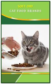 There are many reasons to provide a dry food to. Pin On Cat Food