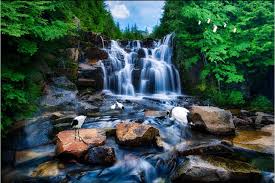 3d wallpaper kustom foto yang air terjun adalah pemandangan indah. Terpopuler 28 Lukisan Air Terjun 3d