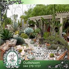 Baron S Palace Hotel Facebook Succulent Landscaping Cactus Garden Design Dry Garden