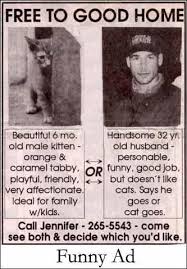 Funny Pet Advertisement Free Cat Posting Funny Ads Funny Commercials Funny