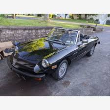 Image result for Light Rattan 1981 Alfa-Romeo