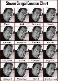 Seagal Emotion Chart Funny Pictures Funny Images Best