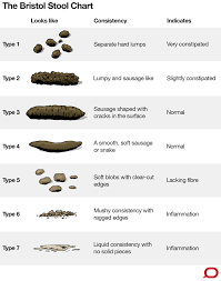 What Your Poo Looks Like Can Reveal A Lot About Your Health