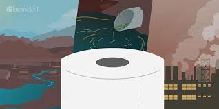 The company combined with kleenex to form a super brand of bathroom tissue. Why Toilet Paper Is Bad For The Environment Brondell