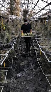 Orlando said, this is so well staged, they could charge admission. South Bay Nursery Owner Struggles To Recover After Huge San Diego Fire Loss Daily Breeze