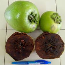 Ces 20 Fruits Exotiques Rares Aux Noms Etranges Sont D Une Beaute Et D Une Saveur Unique Une Decouverte Et Un Depaysement T Fruits Exotiques Fruits Exotique