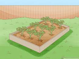The deeper, the better when adding the outdoor succulent soil to your bed. How To Prepare A New Garden Bed 12 Steps With Pictures