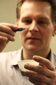 Dynamic 'moth'-ematics