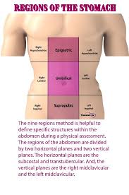 9 Tips For Performing A Nursing Health Assessment On The Gastrointestinal System Nurse Practitioner Programs Health Assessment Nursing Patient Care Technician