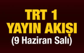 Trt 1 canlı izle, türkiye radyo televizyon kurumu adıyla 1964 yılında kurulmuştur. Son Dakika Gunluk Trt 1 Yayin Akisi Haberi